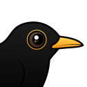 Blackbird
