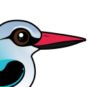 Woodland Kingfisher