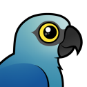 Spix's Macaw