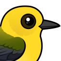 Prothonotary Warbler