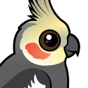 Cockatiel