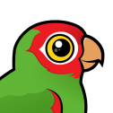 Red-masked Parakeet