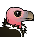 Lappet-faced Vulture