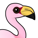 James's Flamingo