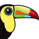 Keel-billed Toucan