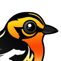 Blackburnian Warbler