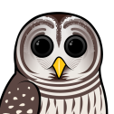 Barred Owl