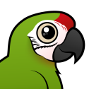 Great Green Macaw