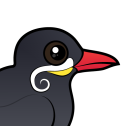 Inca Tern