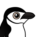 Chinstrap Penguin
