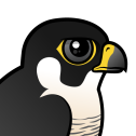 Peregrine Falcon
