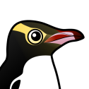 Yellow-eyed Penguin