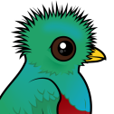 Resplendent Quetzal