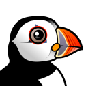 Atlantic Puffin
