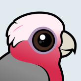 Galah