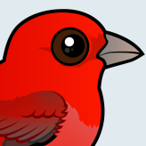 Summer Tanager