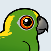 Yellow-naped Parrot