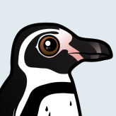 Humboldt Penguin