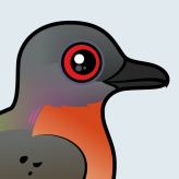 Passenger Pigeon