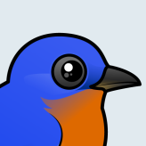 Eastern Bluebird