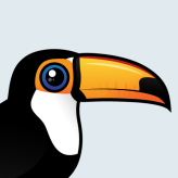 Toco Toucan