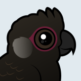White-tailed Black Cockatoo