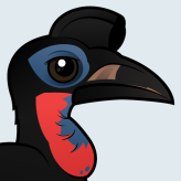 Abyssinian Ground Hornbill