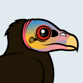 Lesser Yellow-headed Vulture