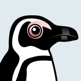 African Penguin