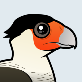 Crested Caracara