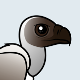 White-backed Vulture
