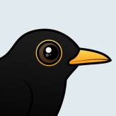 Blackbird
