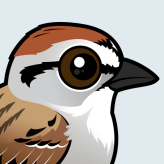 Chipping Sparrow