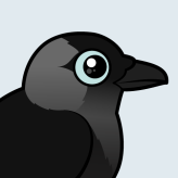 Jackdaw
