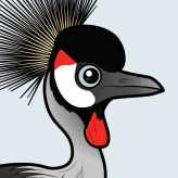Grey Crowned-Crane