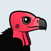 Red-headed Vulture