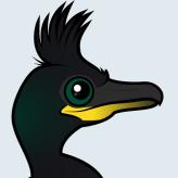 European Shag