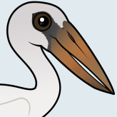 Asian Openbill