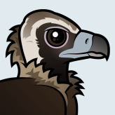 Cinereous Vulture