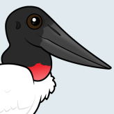 Jabiru