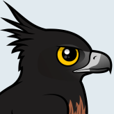 Black-and-chestnut Eagle