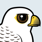 Gyrfalcon