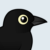 Rusty Blackbird