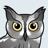 Western Screech-Owl