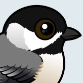 Carolina Chickadee