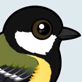Great Tit