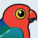 Australian King-Parrot