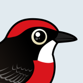 Crimson Chat