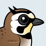 Horned Lark