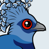 Victoria Crowned Pigeon